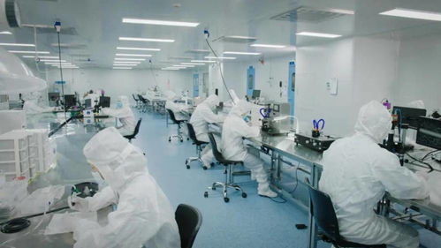 北芯生命遞交招股書(shū) 擬募資12.74億元，加速新材料技術(shù)研發(fā)與產(chǎn)業(yè)化進(jìn)程